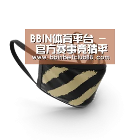 成人布口罩