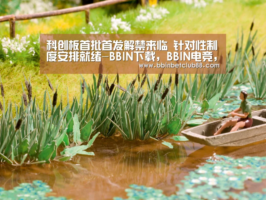 科创板首批首发解禁来临 针对性制度安排就绪-BBIN下载,BBIN电竞,BBIN入口,BBIN体育(图2) BBIN下载,BBIN电竞,BBIN入口,BBIN体育