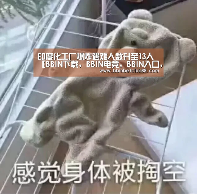 BBIN下载，BBIN电竞，BBIN入口，BBIN体育