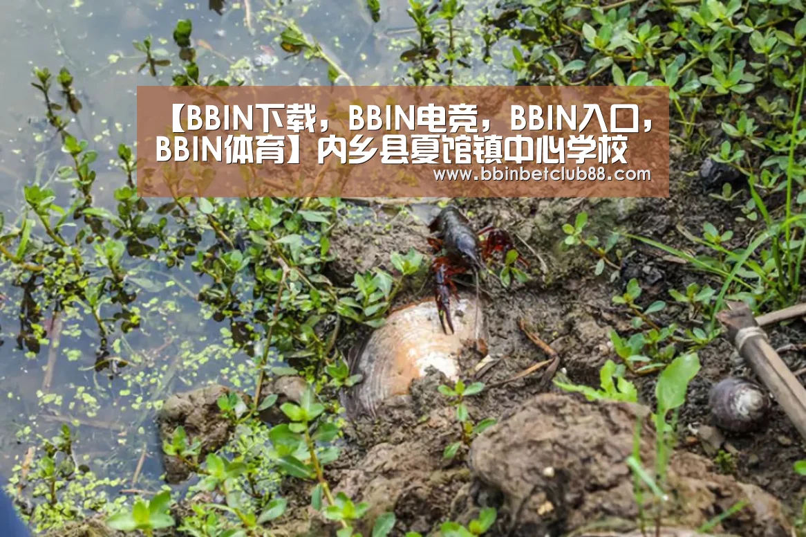 BBIN下载，BBIN电竞，BBIN入口，BBIN体育