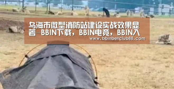 BBIN下载，BBIN电竞，BBIN入口，BBIN体育