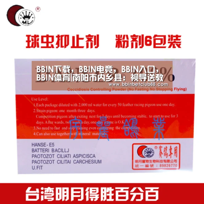 BBIN下载，BBIN电竞，BBIN入口，BBIN体育