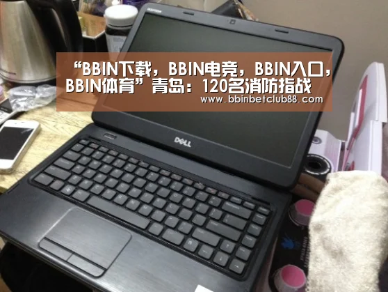 BBIN下载，BBIN电竞，BBIN入口，BBIN体育