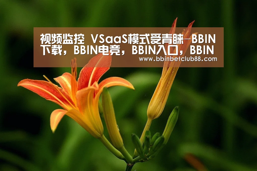 BBIN下载，BBIN电竞，BBIN入口，BBIN体育