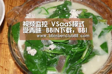 BBIN下载，BBIN电竞，BBIN入口，BBIN体育