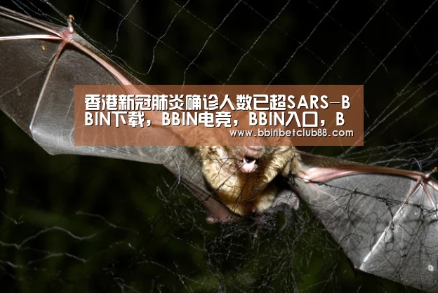 BBIN下载，BBIN电竞，BBIN入口，BBIN体育